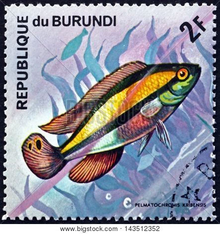 BURUNDI - CIRCA 1974: a stamp printed in Burundi shows Kribensis Pelmatochromis Pulcher Freshwater Fish circa 1974