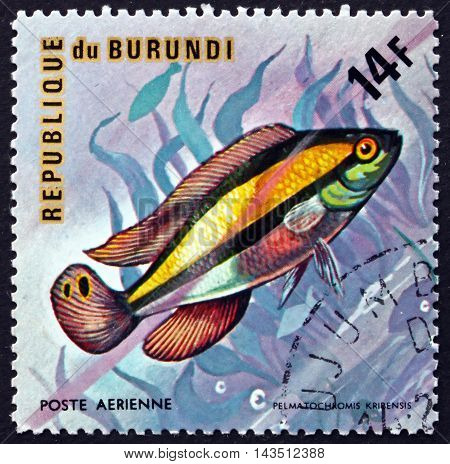BURUNDI - CIRCA 1974: a stamp printed in Burundi shows Kribensis Pelmatochromis Pulcher Freshwater Fish circa 1974