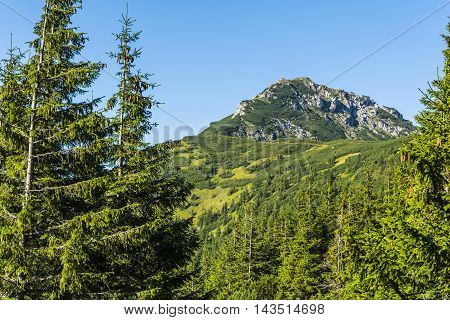 Summit (siwy Wierch, Sivy Vrch).