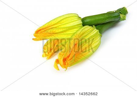 Blüte Baby Zucchini oder Zucchini, isolated on White.