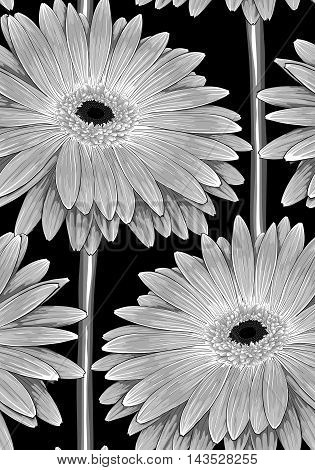Beautiful monochrome black and white seamless background with gerbera flower with a stem. Hand-drawn contour lines and strokes with effect of drawing in watercolor