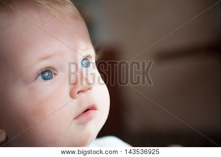 A cute little baby is looking up. The baby could be a boy or girl and has blue eyes. use it for a parenting or love concept.
