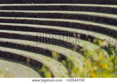 Farming Terraces By The Inca