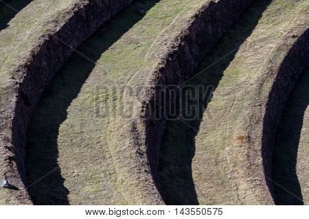 Farming Terraces By The Inca