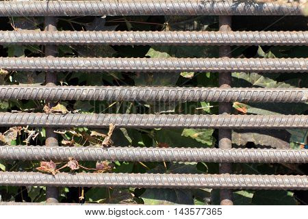 Old and rusty iron bars. In the background (in shadow) dried leaves and grass.