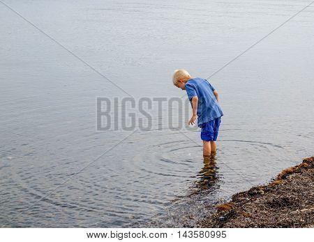 A little boy goes with his feet in the water on the beach and looking for clams and crabs