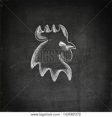 Cock Vector Illustration
