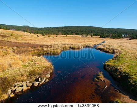 Small mountain creek in the middle of green meadows and spruce forest, Jizera Mountains, Czech Republic