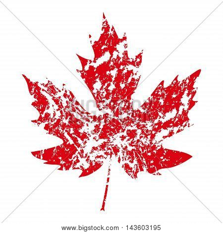 illustration of vector maple leaf in grunge style