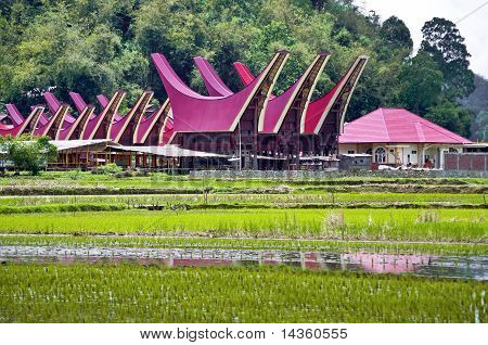 托拉雅村