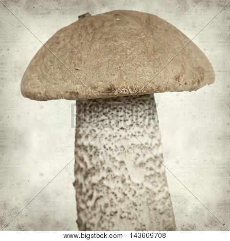 Textured Old Paper Background
