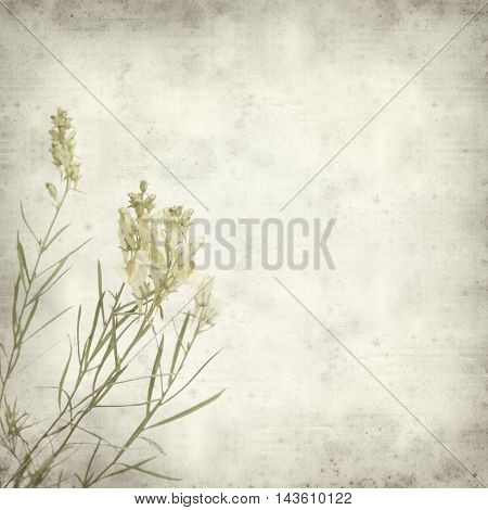 Textured Old Paper Background