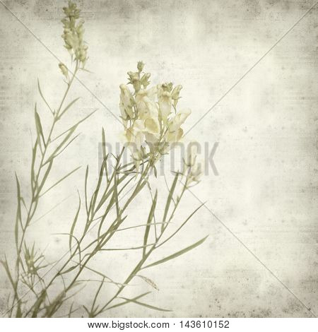Textured Old Paper Background