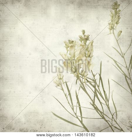 Textured Old Paper Background