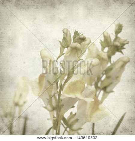 Textured Old Paper Background