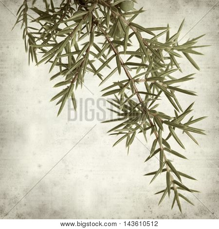 Textured Old Paper Background