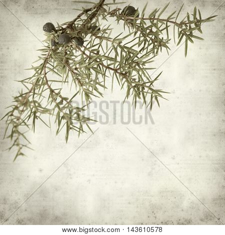 Textured Old Paper Background