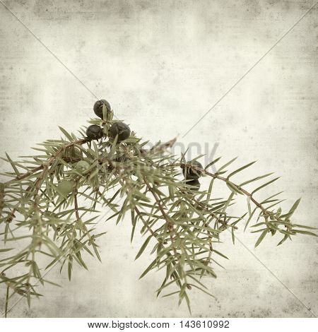 Textured Old Paper Background