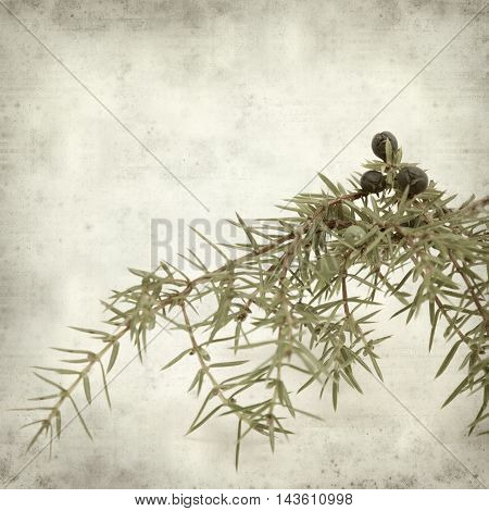 Textured Old Paper Background