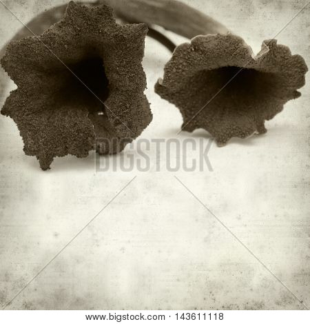 Textured Old Paper Background