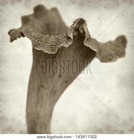 Textured Old Paper Background