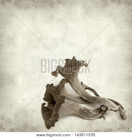 Textured Old Paper Background
