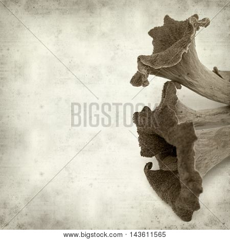 Textured Old Paper Background