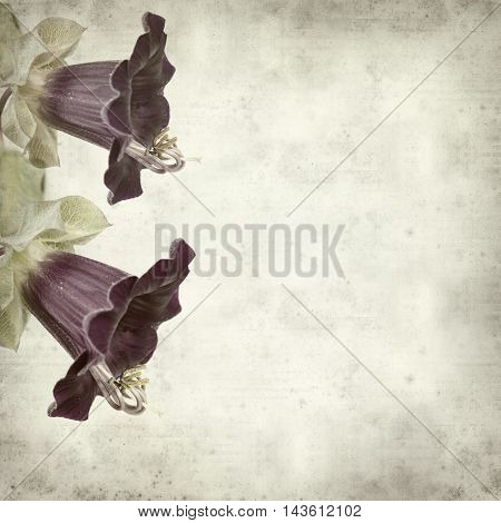 Textured Old Paper Background