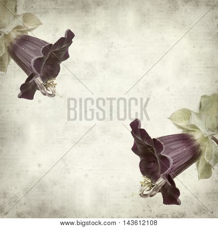 Textured Old Paper Background