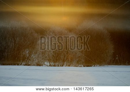 Color fog at dawn in Plesheevo National park. Yaroslavl region Russia