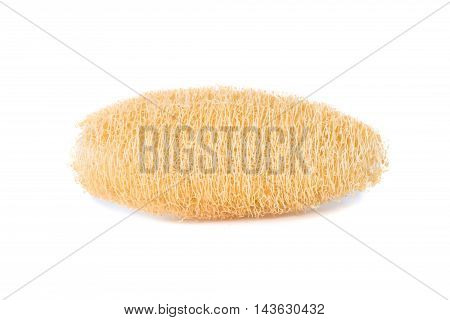 Dry Luffa, Luffa Sponge On White Background, Isolated On White Background
