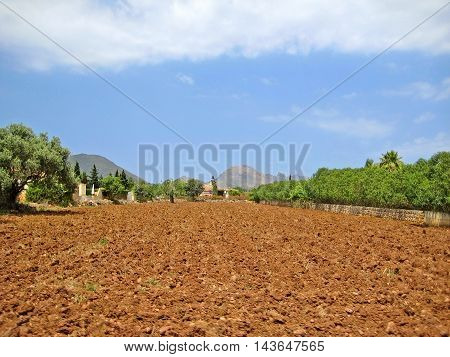 brown farmland rural landscape in the hinterlands of Majorca Spain - tramuntana mountains in background