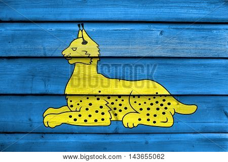 Flag Of Homel (gomel), Belarus, Painted On Old Wood Plank Background