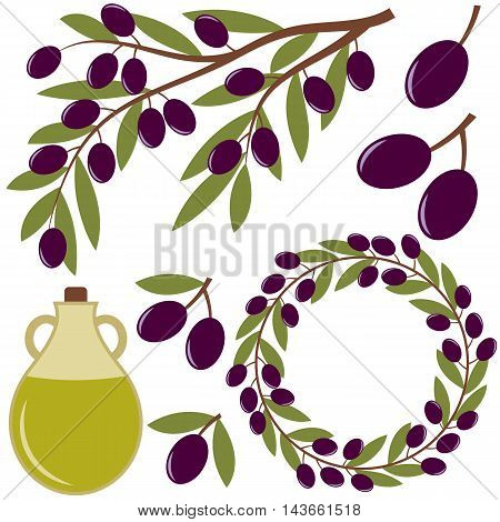 Vector olives set with olive oil branch and wreath