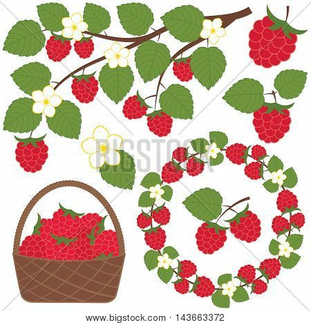Vector raspberry set with basket branch and wreath