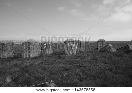 Old world war two coastal defences at Tentsmuir forest