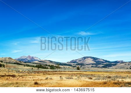 Yellowstone Landscape View