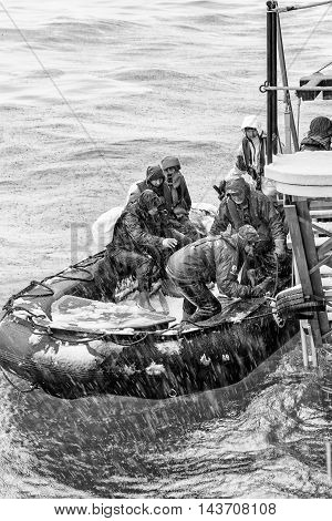 SOUTH GEORGIA, GREAT BRITAIN - NOV 9, 2012: Unidentified group of people in a water proof suit in a rubber boat with a motor in the Atlantic Ocean. Atlantic Ocean is the world's second largest ocean