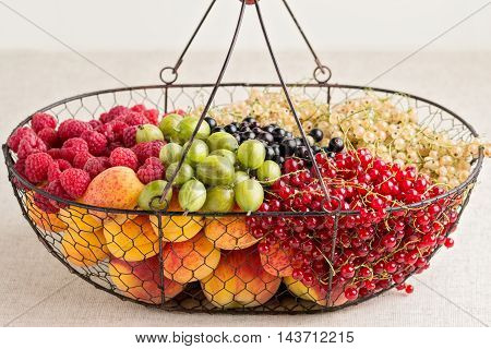 Summer fruits and berries - red black and white currants raspberries gooseberries peaches and apricots. Selective focus.