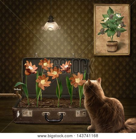 A cat is looking at flowers in a suitcase. These are unusual flowers. They are made from sausages.