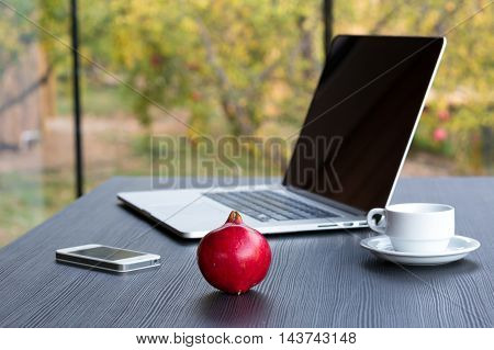 Nomad Worker Composition with Laptop Computer Telephone Coffee Mug and red Pomegranate located on black Wood Desk large Window and green Garden on Background