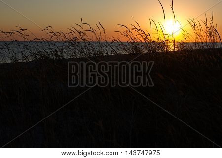 Sea and grass silhouettes in the evening sunset Ukraine, steppe region, Kinburn spit