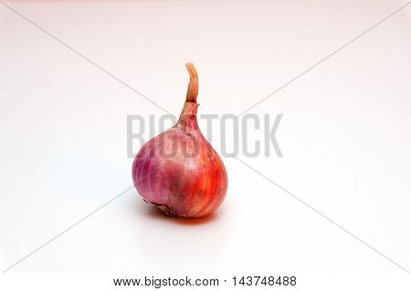 shallots or onion on white background with isolated.