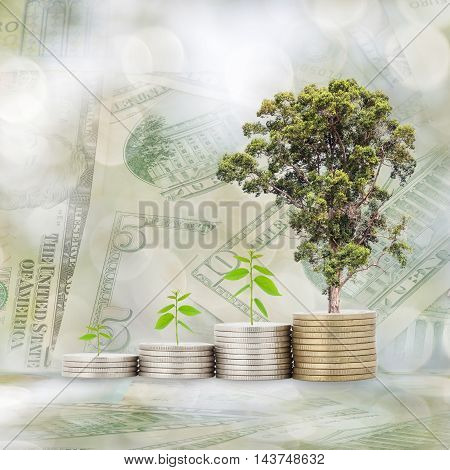 Trees growing on coin with banknote and nature blur backgroundBusiness Finance and Growth concept