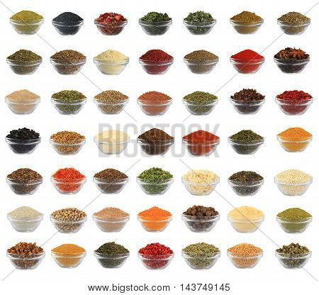 collage spices isolated on a white background