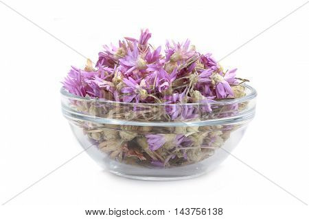 Immortelle (Xeranthemum annuum) in glasswares on a white background