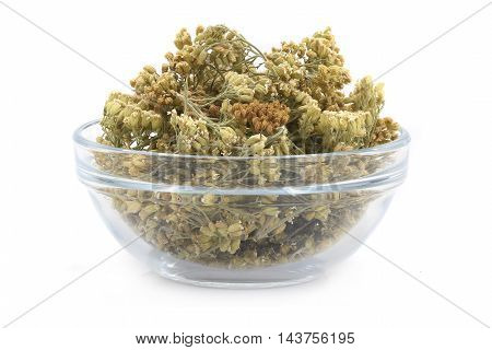 milfoil achillea ( Achillea millefolium L. ) in glasswares on a white background