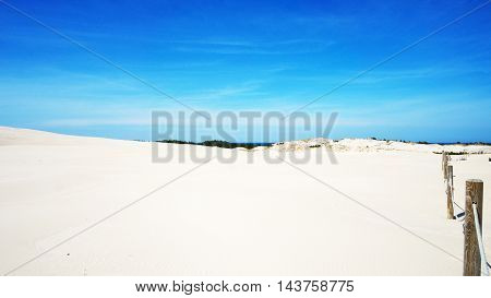 The sand dunnes in National Park in Łeba, Poland