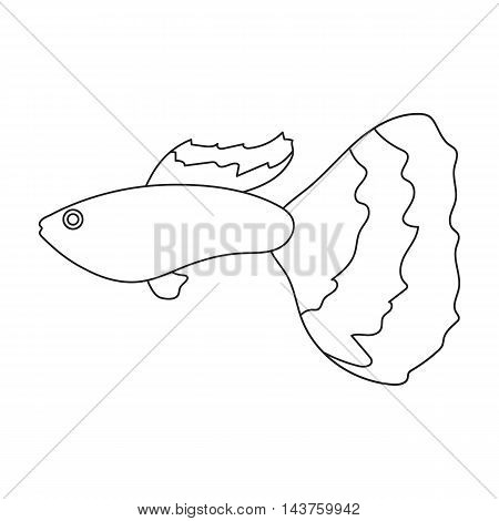 Guppy fish icon line. Singe aquarium fish icon from the sea, ocean life collection.