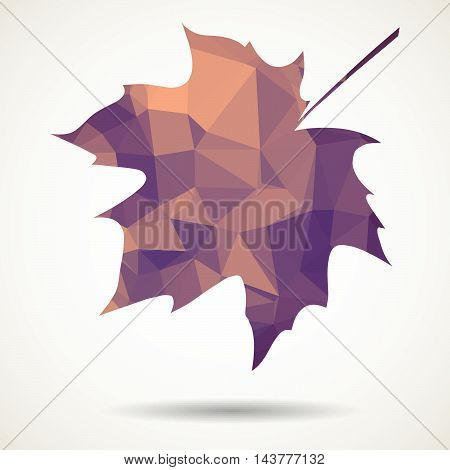 Triangular Maple Leaf